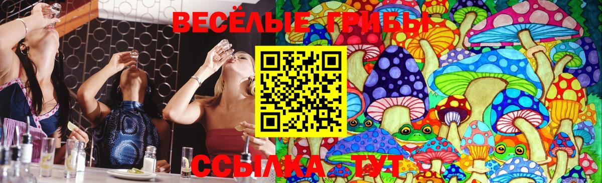 Тайшет  Псилоцибиновые грибы Psilocybe  Вход с VPN 